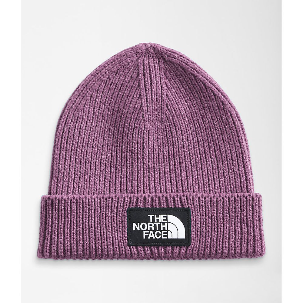 The North Face Beanies Youth Australia - The North Face Tnf™ Logo Box Cuffed Purple Ski (BHM-329105)